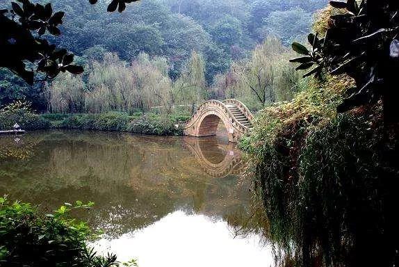 动物界三大流氓，动物界的三大奇葩生物（小时候遇到的动物界“恶霸”）