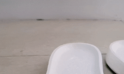 future微信昵称（未来）网名，future微信昵称（未来）微信昵称（穿上立马“爱不释脚”）