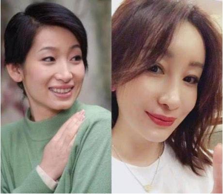 秦海璐的老公，秦海璐的老公的前妻是谁（王新军：有过一次婚姻）