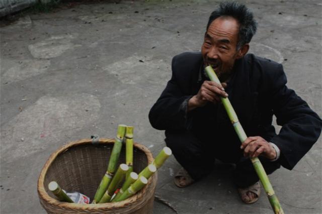 小时候吃的甜杆，北方农村孩子吃过的甜疙瘩和甜杆