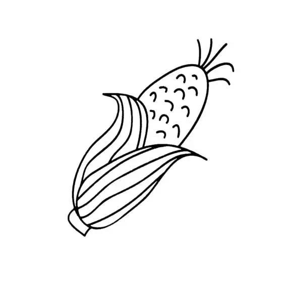玉米简笔画图片，几株玉米的简笔画怎么画（可爱的玉米简笔画画法图解）