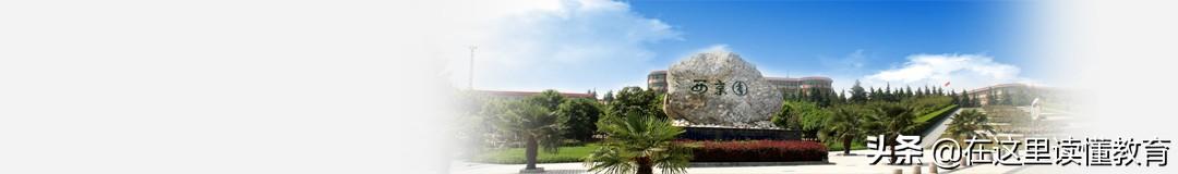 博迪学校（解析）