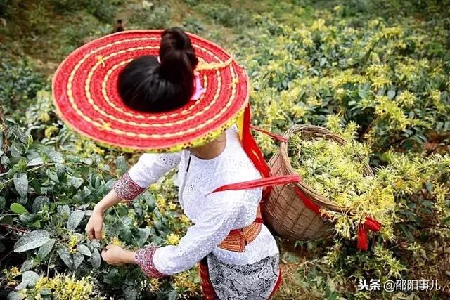 湖南的瑶族属于什么瑶，一个藏在隆回大山深处神秘民族