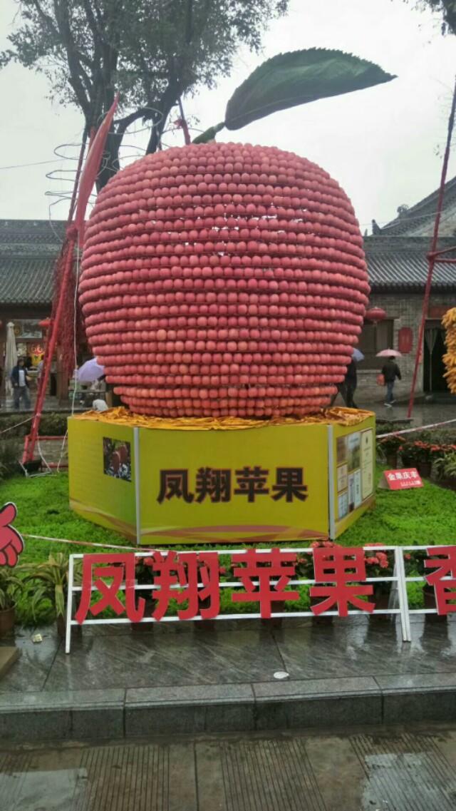 飞鸟与鱼的故事，飞鸟和鱼的故事（胡萝卜    体裁：童话）