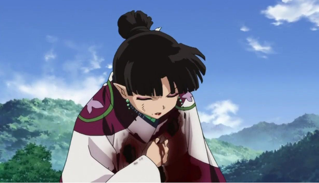 白色桔梗花花语是什么，白色桔梗花花语是什么意思（桔梗的花语已经注定了她的命运）