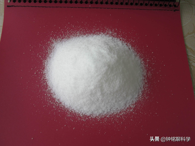 太岁是什么东西，太岁是什么东西图片（捡到的太岁为何还能继续生长）