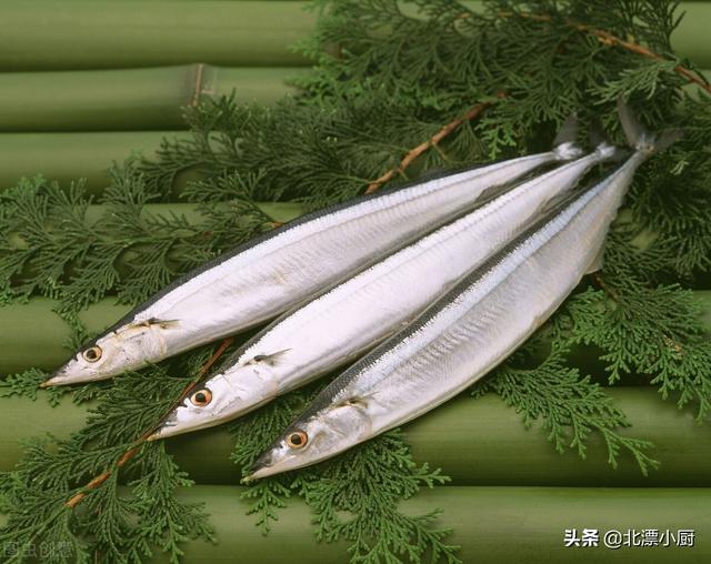 海鱼都有哪些，会吃的人专挑“7种海鱼”（十大最好吃的海鱼）