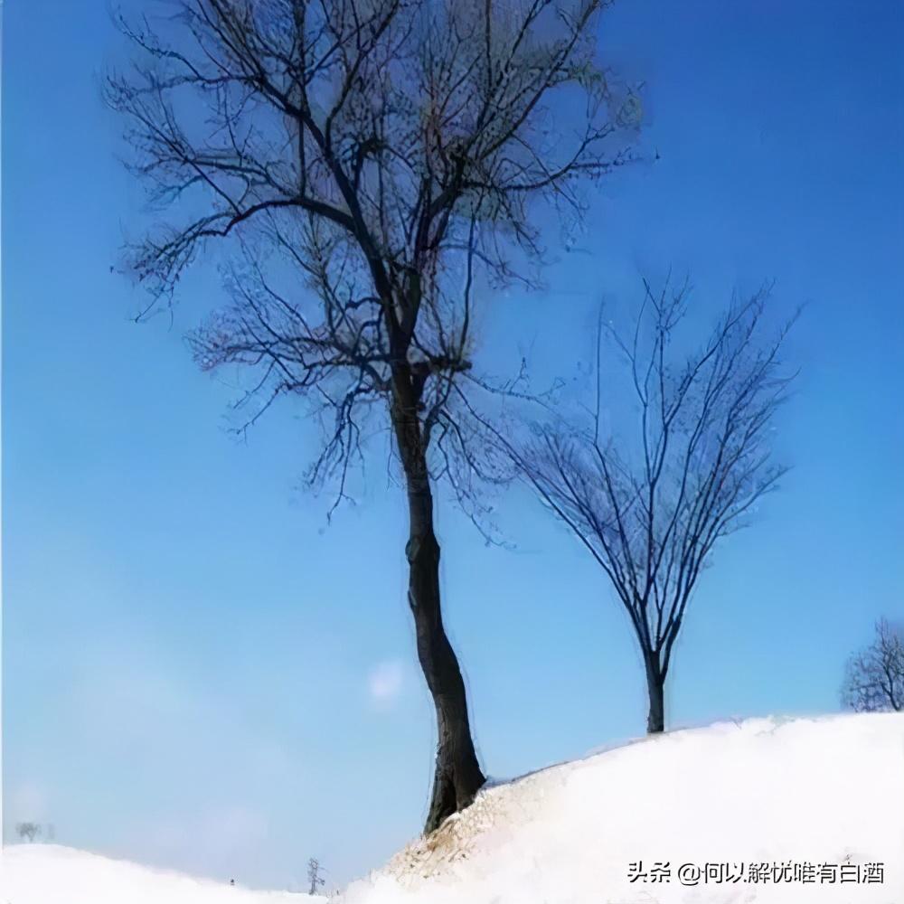 敬颂冬绥什么意思 敬颂冬绥意思是什么，敬颂冬绥什么意思（岁末将至，敬颂冬绥）