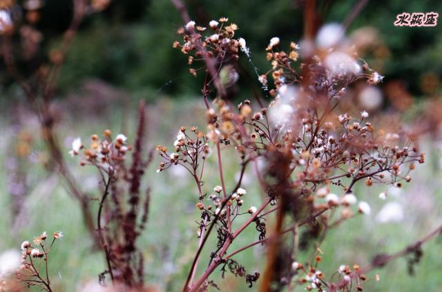 12星座男人最反感怎样的女人，女人最讨厌的星座男（女性最讨厌的四大星座男）