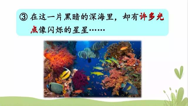  推怎么组词，推的组词（部编版三年级语文下册课文23《海底世界》知识点+图文解读） 