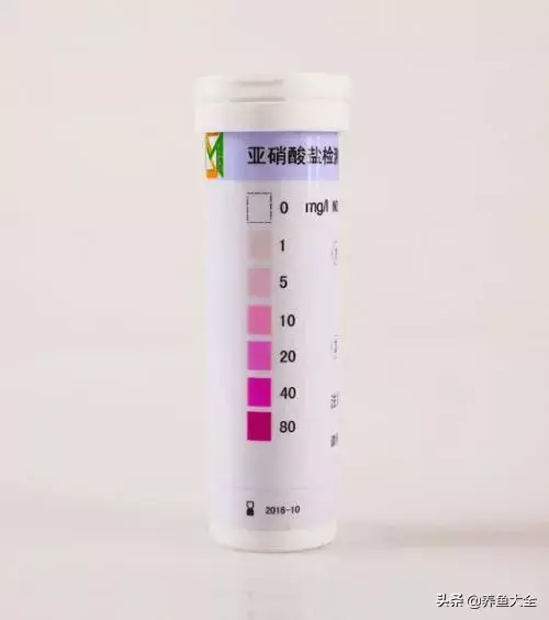 鹦鹉鱼死前征兆，红鹦鹉鱼会不会撑死（让观赏鱼死亡的水中杀手）