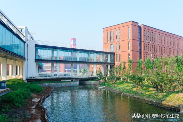 橘生淮南则为橘生于淮北则为枳出自哪篇文章，橘生淮南则为橘生于淮北则为枳出自哪篇文章拼音（“橘生淮南则为橘）