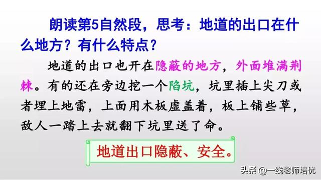 侵可以组什么词语，侵可以组啥词（部编版五年级上册第8课《冀中的地道战》重点知识点+课文讲解）