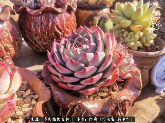 2021九·一八事变是多少周年，2021年是九一八事变的几周年（献给2021最好的春天）