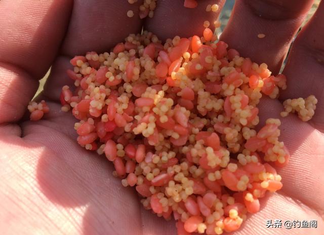 如何钓鱼，如何钓鱼容易上钩（保证比你烧钱买装备有用）