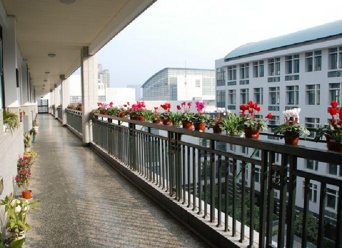 杭州文澜中学怎么样（杭州最大的牛校）