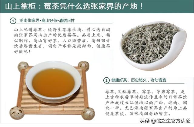 莓茶的作用与功效及副作用，莓茶的功效与作用莓茶的副作用（听老一辈人说这里的人都是靠这种草本植物长寿的）