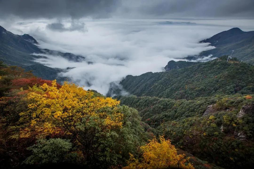 武功山云中草原图片