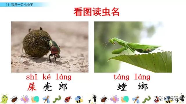 呀组词，呀的多音字组词（二年级下册语文课文11《我是一只小虫子》图文详解及同步练习）