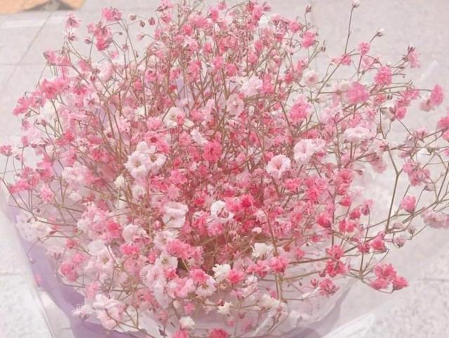 万事顺遂下一句是什么，未来可期什么意思 表达什么（温暖‖万事顺遂.毫无蹉跎）