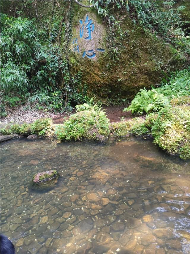 大金湖在哪里，太宁大金湖在哪里（福建遛娃地之泰宁大金湖）