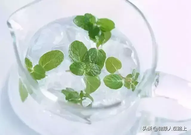 薄荷的功效与作用禁忌与副作用有哪些，薄荷的功效与作用和副作用（薄荷是药食两用的草本植物）