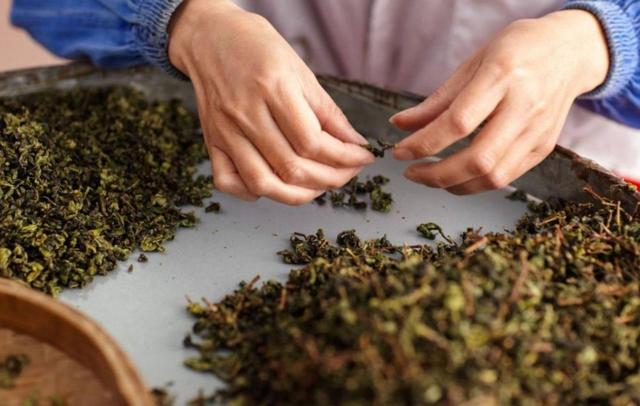 陈茶叶能喝吗，十年的陈茶叶能喝吗（长期陈放的茶叶）