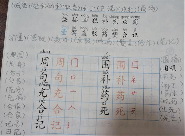 圾组词两个字大全，圾组词两个字（二年级语文下册课文会写与会认的生字组词）