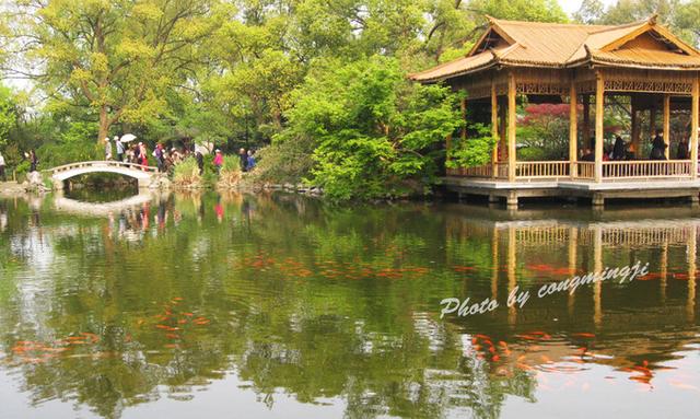 杭州一日游攻略，杭州西湖一日游有什么攻略（内含杭州三日逛吃攻略）