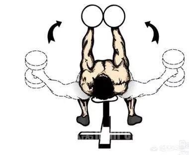 什么是离心训练，什么是离心训练和向心训练（要了解什么叫离心收缩和向心收缩）