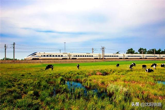 nd表示什么，nd表示什么时间单位（火车上搞不懂的“字母”）