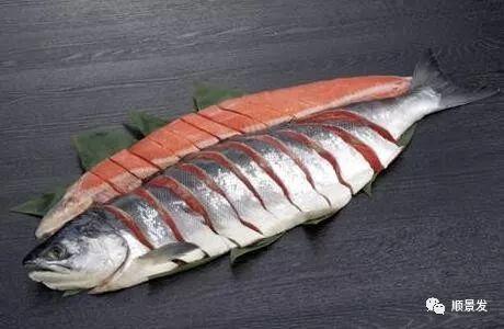 世界上有哪些渔场，世界上有几个渔场（天下“渔仓”——走进世界四大渔场）