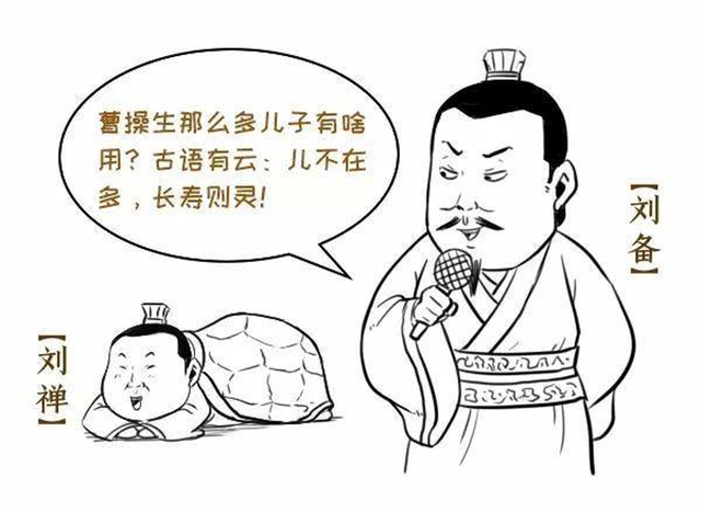 曹冲的母亲是谁，曹冲的父亲是什么（曹操儿子中最特别的一个——曹熊的悲喜人生）