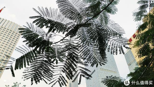 红米k20pro屏幕（请取下有色眼镜来看Redmi）