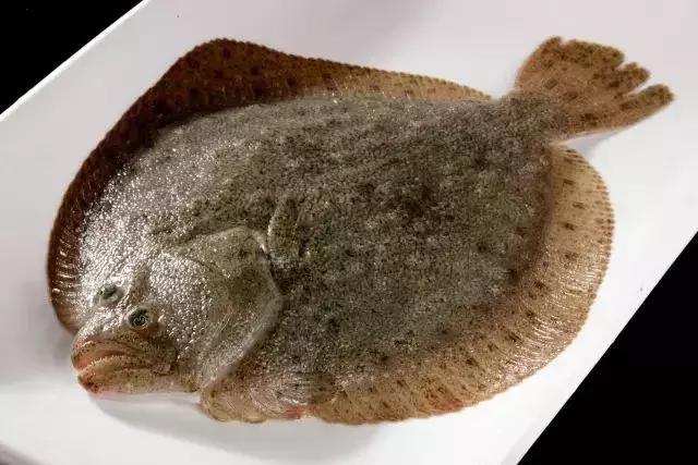 请问清炸小扒皮鱼的做法，炸小剥皮鱼的做法大全（今后再也不怕不认识海鲜了）