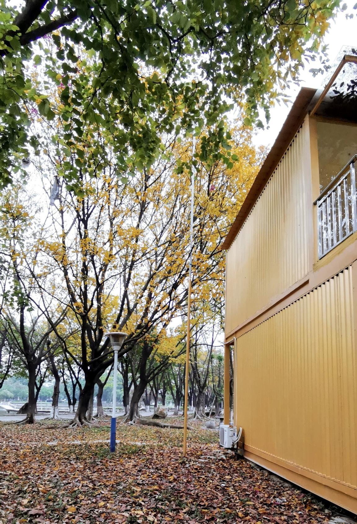 学校的一角图片（校园一角美图）