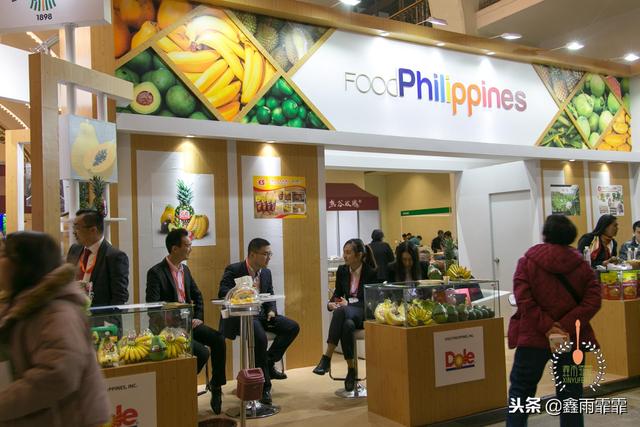 菊苣怎么读是什么意思，菊苣怎么读（这百种水果不要说吃过）