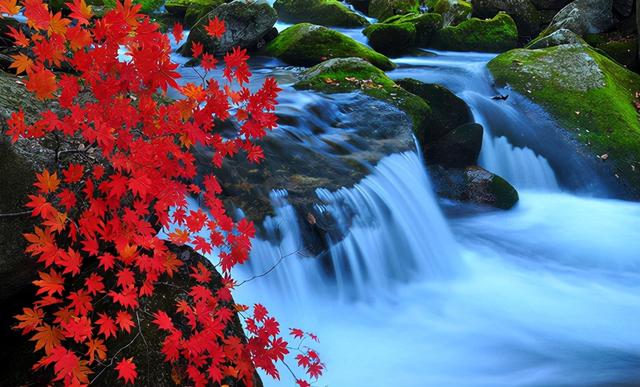 冬夜诗词，冬夜诗词原创（为爱深红似落花）