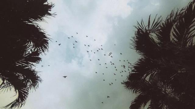 什么是万圣节夜，什么是万圣节（福州天台的万圣节奇妙夜）