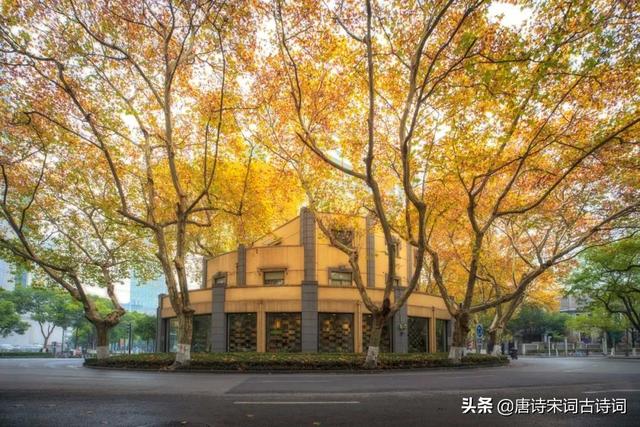 夜深篱落一灯明的上一句，夜深篱落一灯明的前一句是什么（一树梧桐，一树相思一树恨）