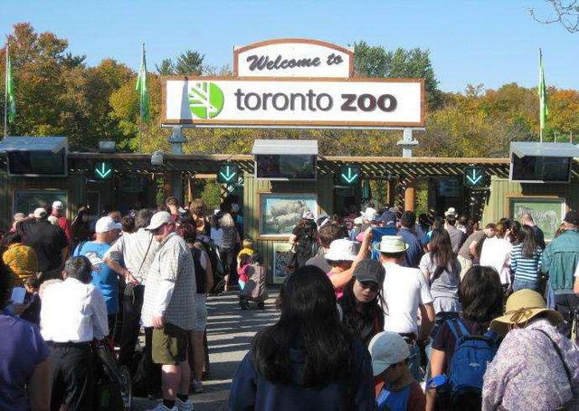 海狸是哪个国家的国宝，海狸是哪个国家的国宝的寿命（在加拿大寻找身价过亿美元的动物）