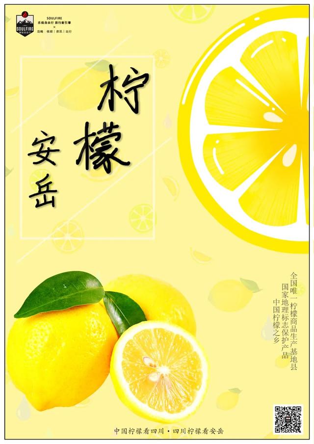 安岳石刻与玄应的由来，安岳石刻历史（这里是安岳）