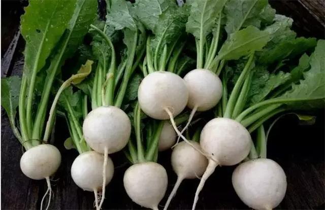 大头菜和卷心菜是一个菜吗，卷心菜和包菜的区别（12种蔬菜的N种四川喊法）