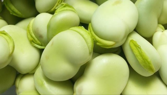 油焖蚕豆怎么做，油焖蚕豆怎么做豆的做法大全（大厨教你做正宗的）