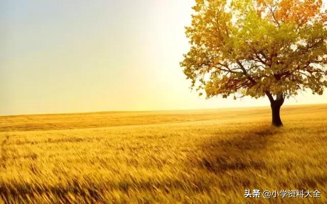 跟秋天有关的词语，与秋天有关的词语（关于秋天的好词、好句、好段、好诗）