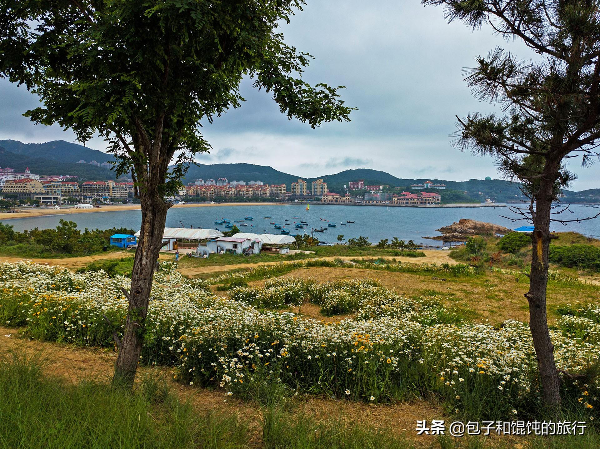 威海市中心在哪(荣成市中心是哪个区)