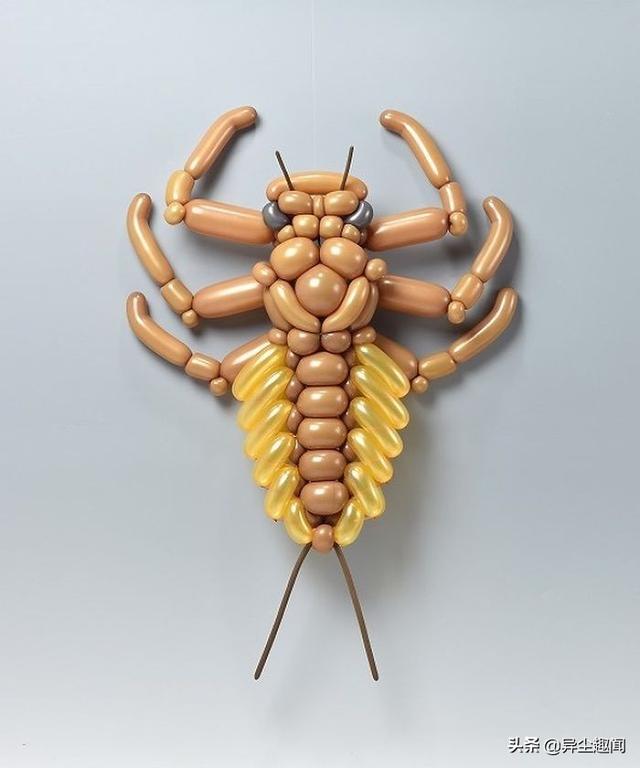 用气球做小动物教程，教你用气球做小狗的方法（日本艺术家用气球制作了令人难以置信的动物模型）