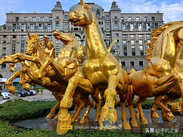 花季雨季是指多少岁，青葱是指多少岁（一款定位精准的全能准旗舰）