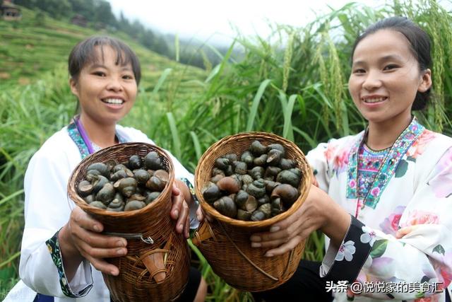 田螺和螺蛳的区别，田螺和狮螺的区别是什么（大个和小个到底哪种好）