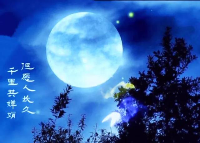 你有人间我有云烟，蓉蓉/优质情头/你有人间 我有云烟 我们也一半一半.，微信头像（孤身只影心孤寂；想你）